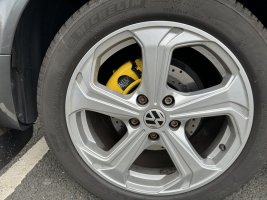 IMG_3161.jpeg