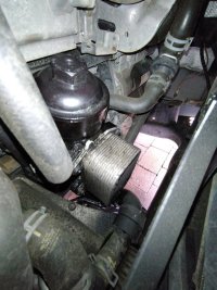 IMG_20240309_144306_MP.jpg