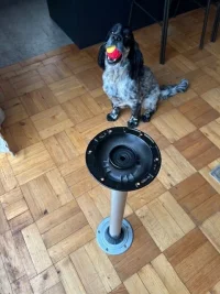 Table leg.webp