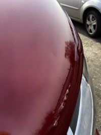 IMG_6161.jpeg