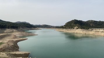 IMG_6078.jpeg