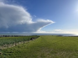 IMG_3790.jpeg