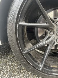 IMG_4775.jpeg