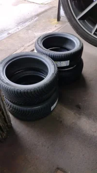 1000010539.jpg
