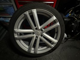 IMG_0807.jpeg