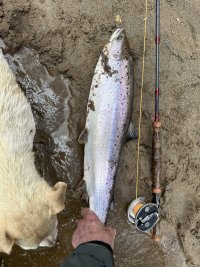 IMG_6112.jpeg