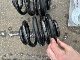 IMG_1095.jpeg