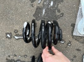 IMG_1098.jpeg
