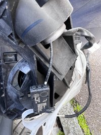 IMG_5622.jpeg