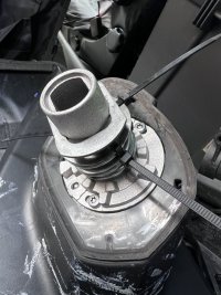 IMG_5627.jpeg