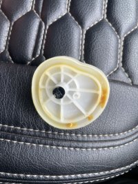 IMG_4595.jpeg