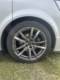 IMG_3780.jpeg