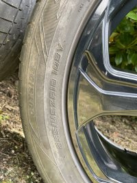 IMG_4798.jpeg