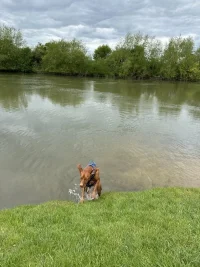 IMG_7139.jpeg IMG_7139.jpeg