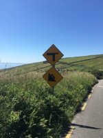 IMG-20180628-WA0018.jpg