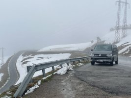 IMG_1101.jpeg