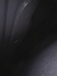 Zdjęcie WhatsApp 2024-05-18 o 14.27.02_d0c88dce.webp