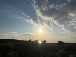 IMG_2195.jpeg
