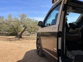 IMG_7223.jpeg