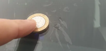coin.webp