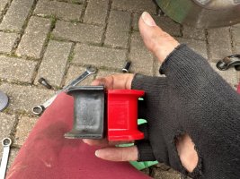 IMG_3871.jpeg