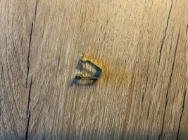 IMG_0114.jpeg