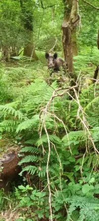 20240611_110417.jpg 20240611_110417.jpg
