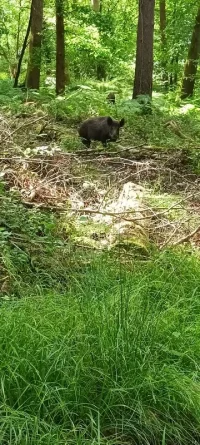 20240611_101254.jpg 20240611_101254.jpg