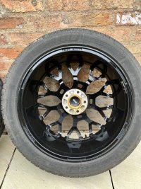IMG_1355.jpeg
