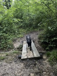 IMG_4934.jpeg