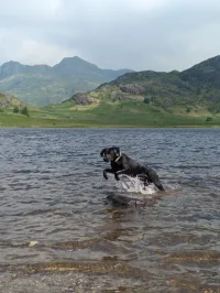 IMG-20240531-WA0001.webp