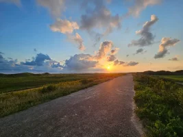 IMG-20240727-WA0030.webp