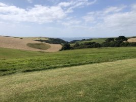 IMG_4936.jpeg
