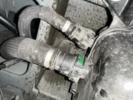 IMG_5862.webp