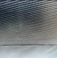 IMG_4272.jpeg