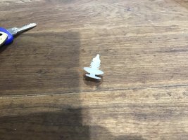 IMG_4166.jpeg