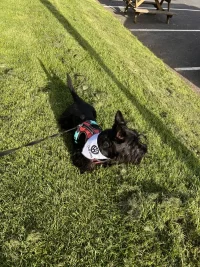 IMG_3393.jpeg IMG_3393.jpeg