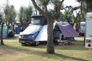 Bellamare Pitch.webp Bellamare Pitch.webp