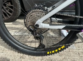 IMG_7173.jpeg