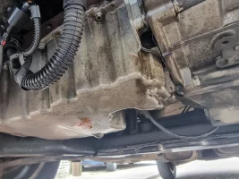 vw.jpg