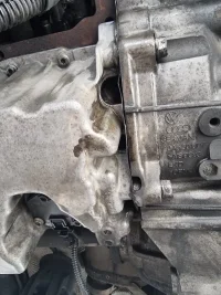 vw1.webp
