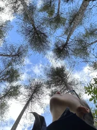Del forest me UP.webp Del forest me UP.webp