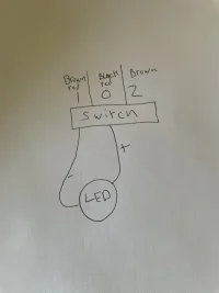 image.webp image.webp