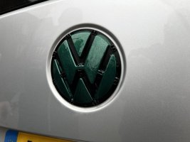 IMG_7103.jpeg