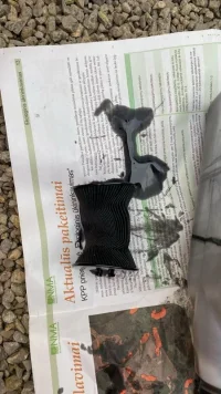 IMG_7235.webp