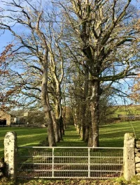IMG_3360.jpeg IMG_3360.jpeg