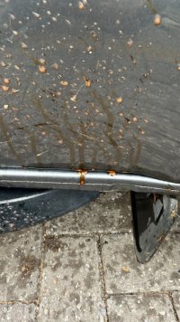 IMG_4190.jpeg IMG_4190.jpeg
