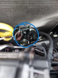 VW 09.webp