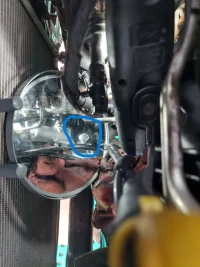 VW 11.webp