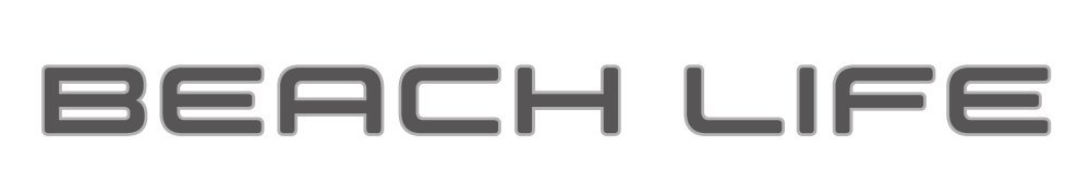 VW T6 Beach Life logo - FINAL.jpg